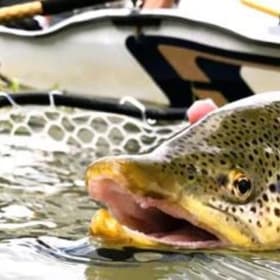 Pêche à la mouche item