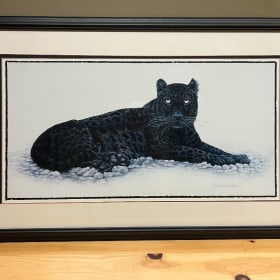 Black Cougar item