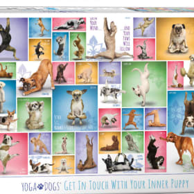 Yoga Dogs Eurographics 1000 Piece Puzzle item