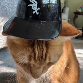 Lennon, a Sox fan item