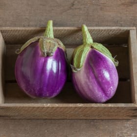 Eggplant - Rosa Bianca item