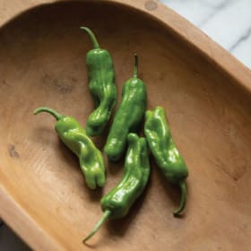 Pepper - Shishito item