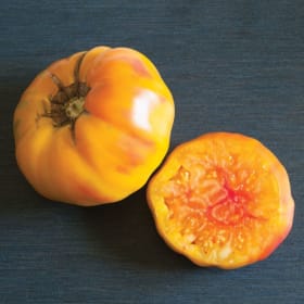 Tomato - Striped German item