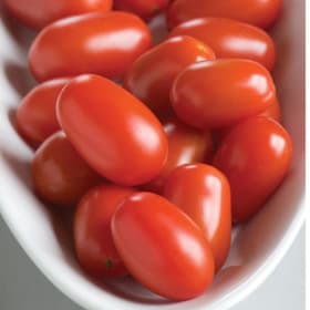 Tomato - Five Star Grape item