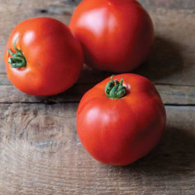 Tomato - New Girl item