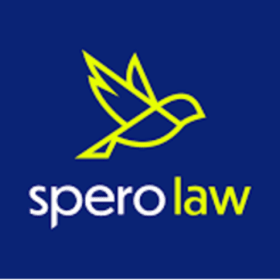 Will & Power of Attorney by Spero Law item