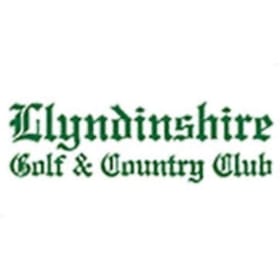 2 Rounds of Golf at Llyndinshire Golf item