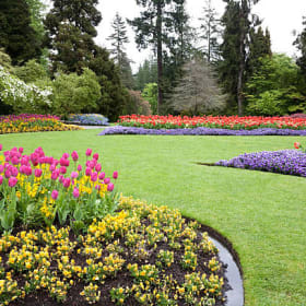 20. Gardener’s Paradise - Shannon Simon's Shire item