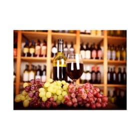 Boutique Wine Tour and Tasting Experience for 4 Guests item