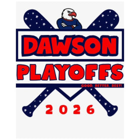 Non-Player Playoff Shirt DRIFT item