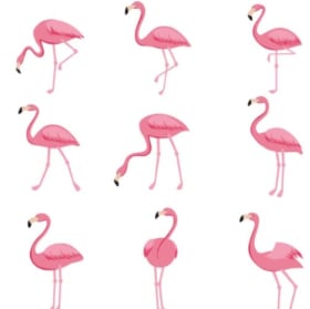 Flamingo Flocking item