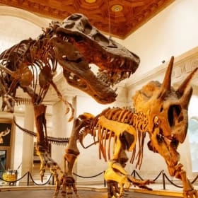 Natural History Museum of LA Family Membership [$169 value] item