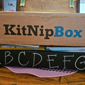 KitNip Box – The Ultimate Cat Treat & Toy Bundle item