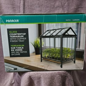 Tabletop Terrarium – Bring Nature Indoors item