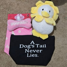 Cute Pup Bundle – Bandana, Toys & Travel Pouch item