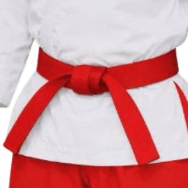 Photo of Replacement Belt