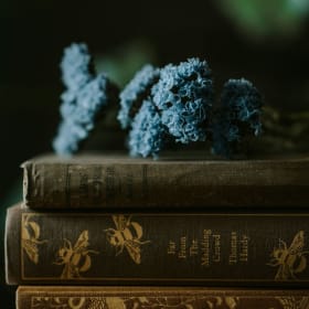 #25 - Mavens of Fiction item