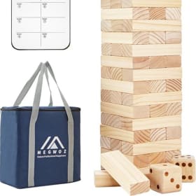 Backyard Fun item