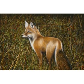 Red Fox by Wendy Palmer item