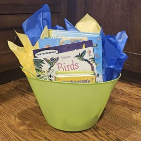 Usborne Books & Activity Set (Green), recommended ages K-2+ item