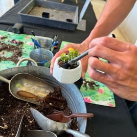 Meditative Succulent planting item