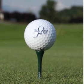 Olde Farm Golf Day item