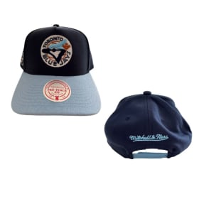 Blue Jays vs Phillies June 9 item