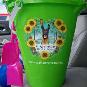 Souvenir bucket REFILL item