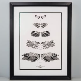 [#57] British Wingspan to Scale item