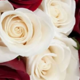 White Roses ( deceased) item