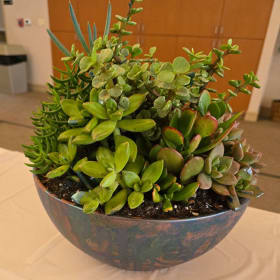 Bees Painted Pot item