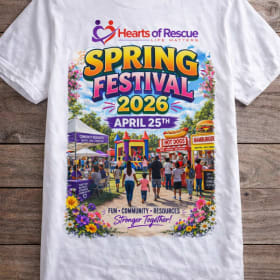 T-shirt 2026 Spring Festival item