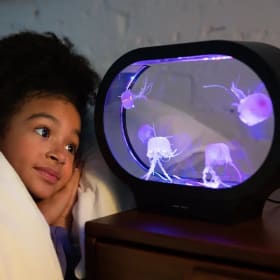 Jellyzen – Lampe méduse ovale item