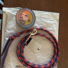 4 ft braided leather lead item