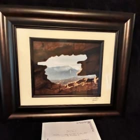“Siamese Twins” framed photography item