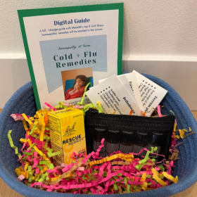 Viral Illness Homeopathic Remedy Kit item