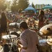 17. Cicada Music Festival - Henley Island item