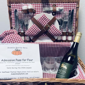 Item #19: Sunflower Picnic Adventure item