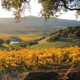 Sonoma Valley Couples Getaway for 4 item