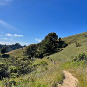 Mom's Hike item