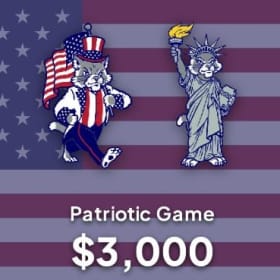 Patriotic Game Shirt Sponsor (Single Sponsor) item