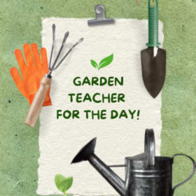 Garden Teacher for the Day item