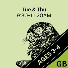 Beavers item