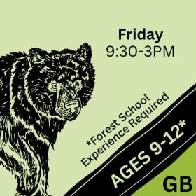 Grizzly Bears item