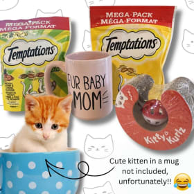 Purr-fect Fur Baby Bundle item