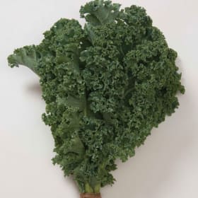 Kale - Winterbor item