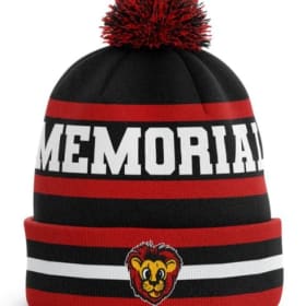 Winter Hat item