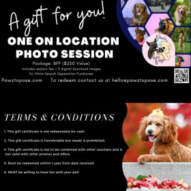 On location photo shoot for your dog item