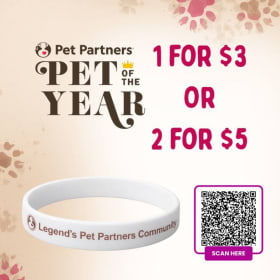 BRACELETS ONLINE ORDER item