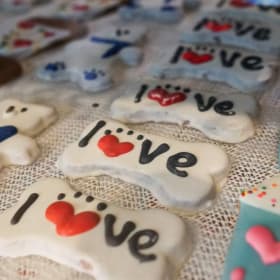 Pampered Paws Bundle item